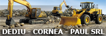 DEDIU - CORNEA - PAUL SRL