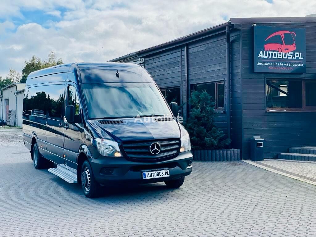 Mercedes-benz Sprinter 516 Bluetec + Winda Minivan For Sale Poland 