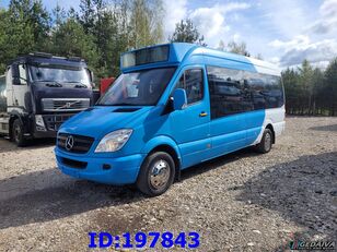 Mercedes-Benz Sprinter 316 Avestark Euro5 coach bus