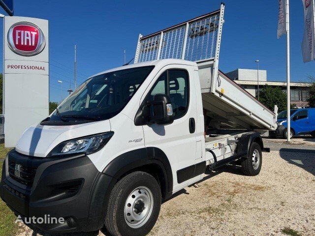 Fiat Ducato Ribaltabile • Auto SA Truck