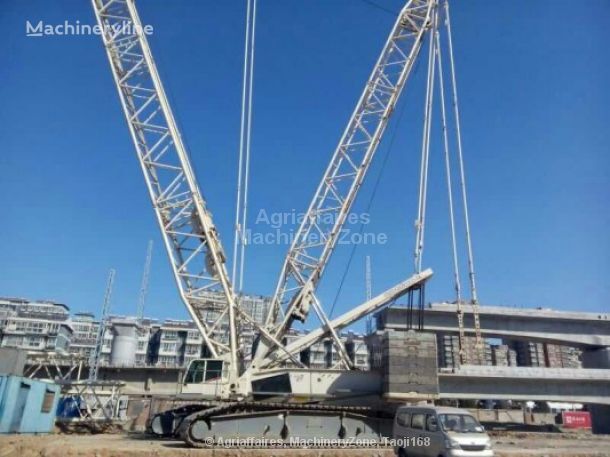 Image de GRUES SUR CHENILLES 2008 Demag CC2500-1