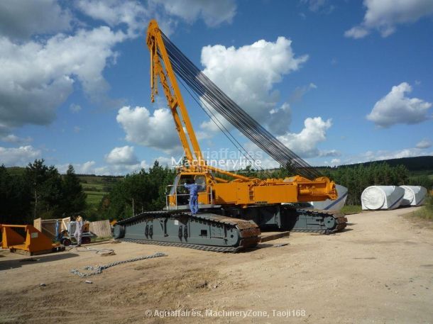 Image de GRUES SUR CHENILLES 2009 Liebherr LR1400