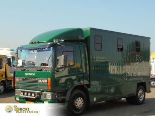 DAF CF 65 .180 ATI + Manual + Horse transport horse truck