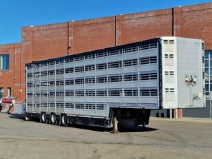 Pezzaioli 5 deck livestock 155M2 - Water & Ventilation - Loadlift - Foldin livestock semi-trailer