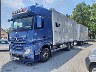 Mercedes-Benz Actros 2551 livestock truck + livestock trailer