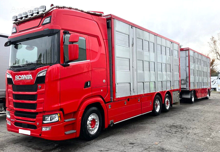 Scania S V Cattle Transport Livestock Truck For Sale Poland Chodzie Du