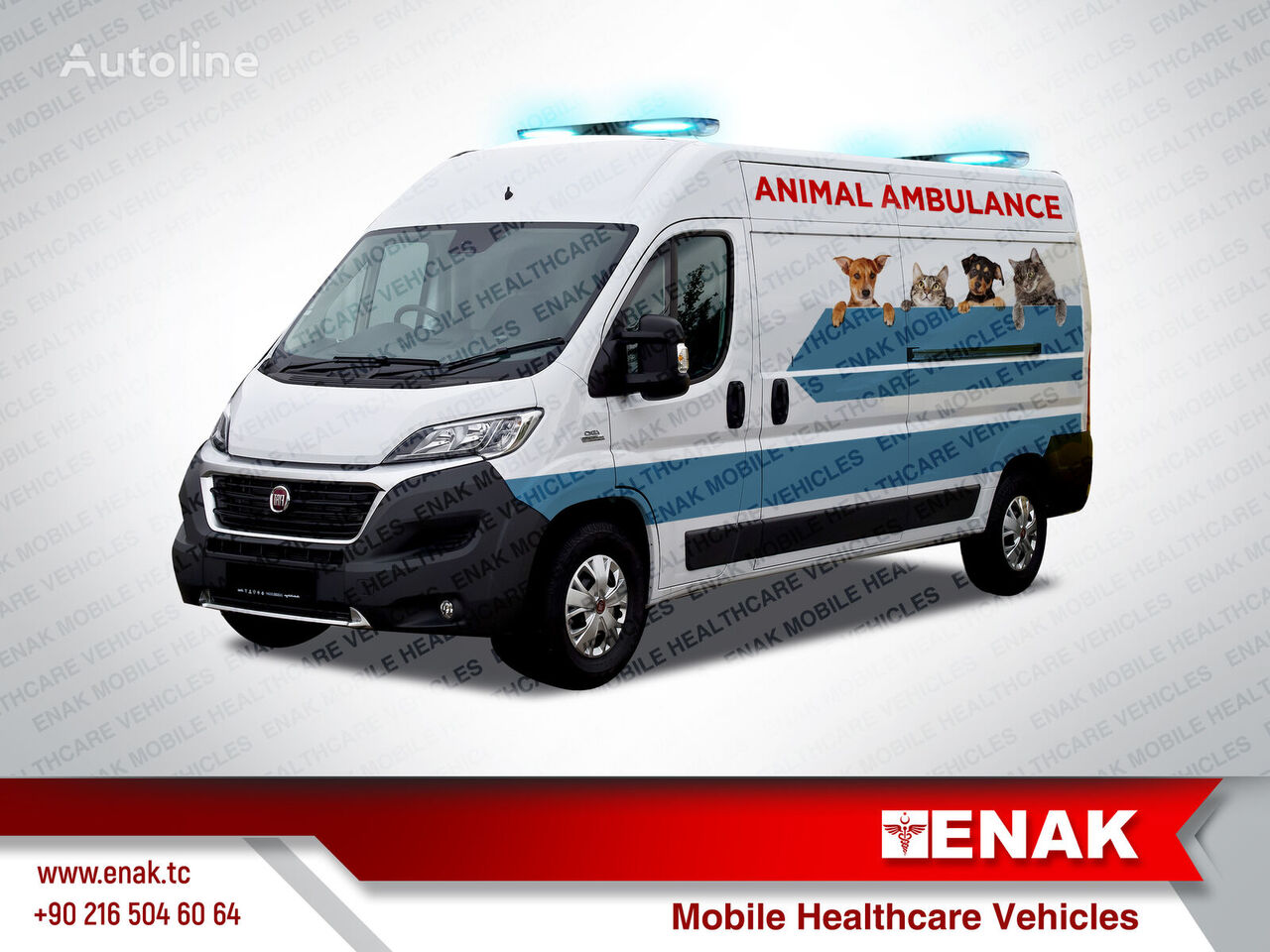 new FIAT PETBULANCE AMBULANCE