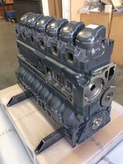 MAN E2876LUH03 / E2876 LUH03 - GAS - 310CV engine for truck