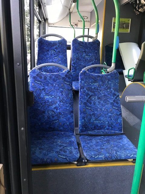 seat for Temsa avenue bus