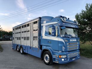 SCANIA R 560 livestock truck